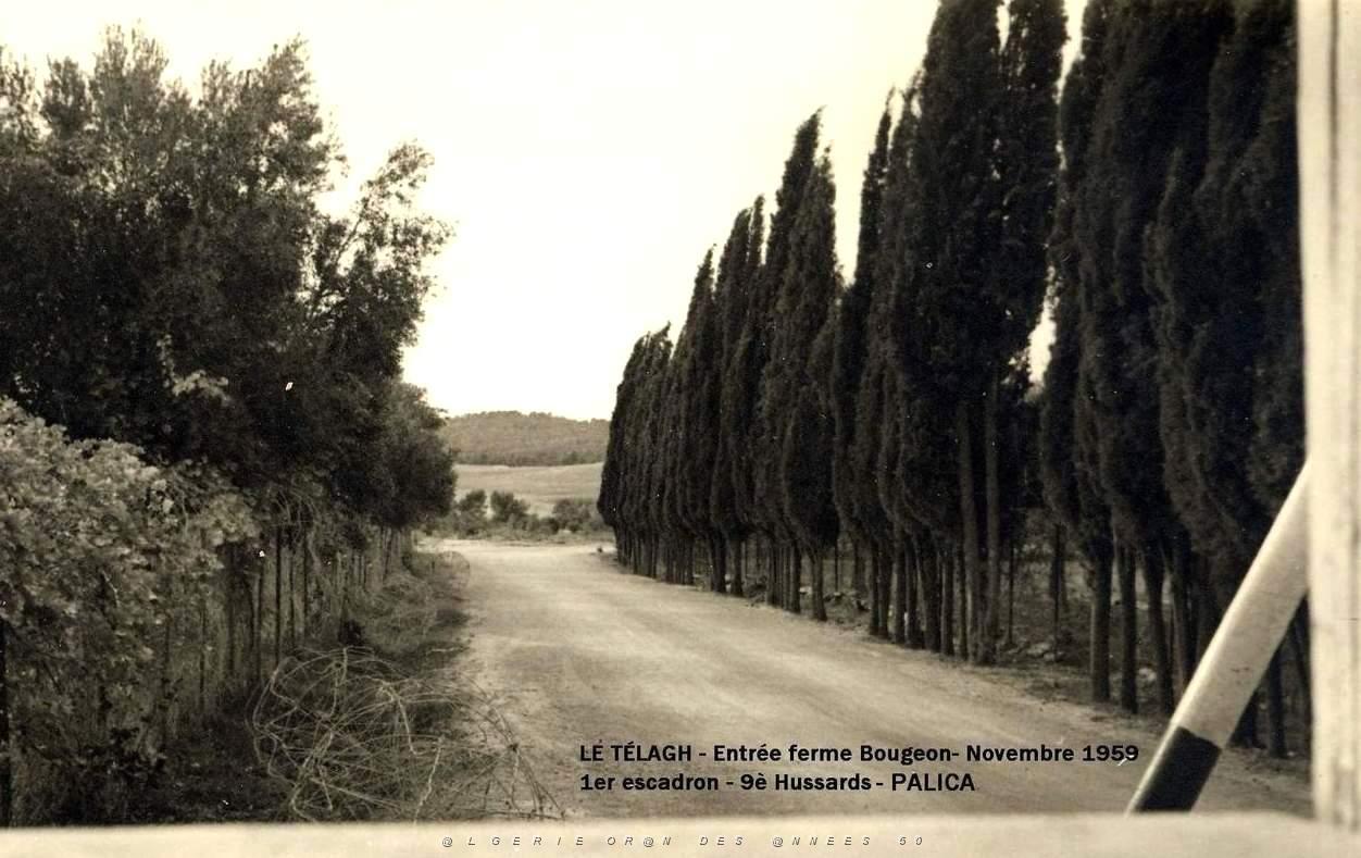 Palica - C- Le Telagh 002.JPG